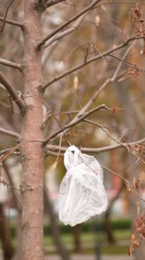 Bir parktaki çıplak bir ağaç dalına dolanmış plastik torba çevresel kirliliği ve bunun doğa üzerindeki etkisini vurguluyor..