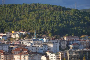 Canlı yemyeşil yeşilliklerin arasına yerleşmiş büyüleyici evlerin yer aldığı pitoresk bir şehir manzarası.