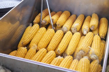 Koçanın üzerindeki lezzetli ve sulu mısır buharlı tencerenin tadını çıkarmaya hazır.