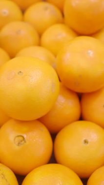 Yakından dizilmiş canlı bir portakal gösterisi, olağanüstü bir tazelik ve kalite sergiliyor.