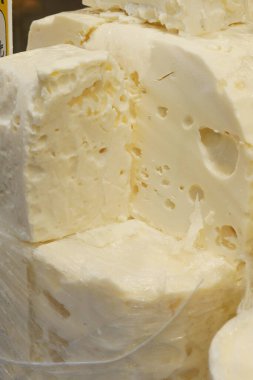 dükkan penceresinde bir sürü peynir türü.