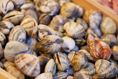 Bugün deniz ürünleri pazarında bir yığın taze midye satışa sunuldu.