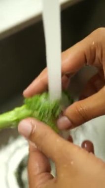 Bir el, taze, canlı brokoliyi bir mutfak lavabosunun içinde akan suyun altında nazikçe duruluyor.