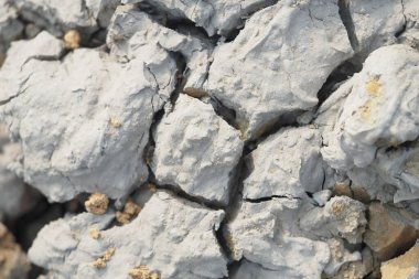 Kuru, çatlamış yeryüzü yüzeyi doğada karmaşık dokular ve ayrıntılı desenler gösteriyor.