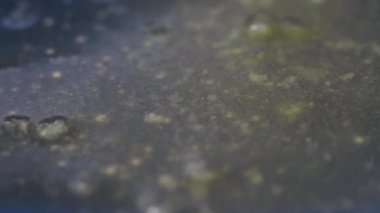 Yakından bir tencereye kahve dökmek gibi. ,