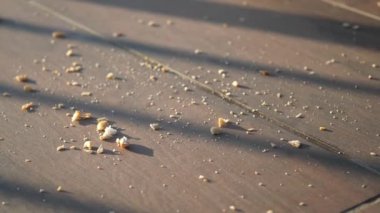 Küçük ekmek parçaları ahşap bir yüzeye saçıldı..