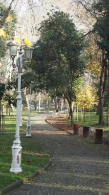 Ağaçlarla çevrili dolambaçlı bir patikada geziniyor..