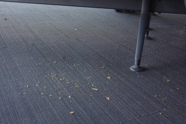 Toz ve küçük enkaz mobilyaların altındaki gri halılı zemine saçılmış..