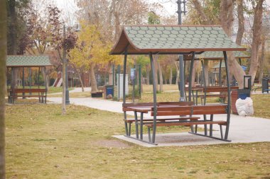 Sonbahar boyunca sessiz bir parkta ahşap barınaklar ve banklar kurulur..