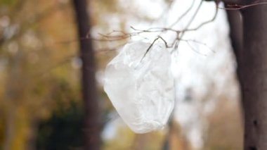 Sonbahar yaprakları arasında bir ağaçtan sarkan plastik bir torba..