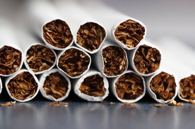Düzgün sıralanmış tütün ruloları kurumuş, dokulu içeriklerini sergiliyor..