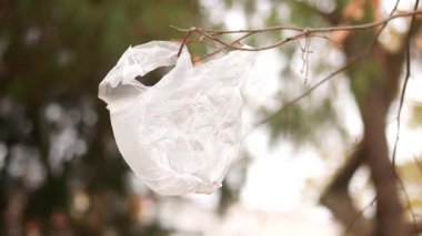 Doğadaki bir ağacın dalına plastik bir torba yapışmış..