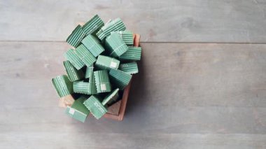 Doğal bir ahşap kabın içindeki bir dizi yeşil bitki..