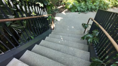 Adımlar yeşillik ve yeşillik dolu canlı bir bahçeye iniyor..