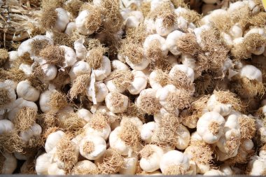 Yerel bir çiftçi pazarında rengarenk sarımsak kafalar sergileniyor..