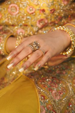 El gösterileri karmaşık mücevherler, bir kutlamada kültürel zarafeti somutlaştırmak..