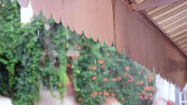 Yakınlardaki yemyeşil yeşillikleri aydınlatan bir tenteden çağlayan yağmur suları..