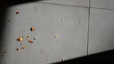 Yiyecek parçaları güneşli bir ortamda zemini kirletir..