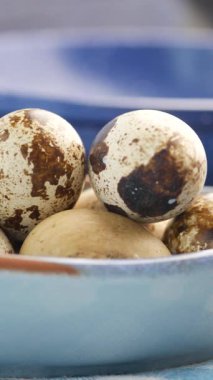 Bıldırcın yumurtaları baharda güneşli bir kır çiftliğinden toplanır..