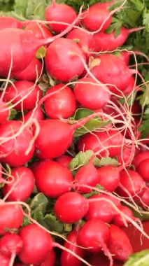 Canlı kırmızı turplar pazarda taze yeşilliklerin arasında otururlar..