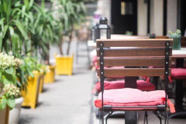 Parlak renkli sandalyeler ve bitkiler lokantalar için davetkar bir ortam yaratıyor..