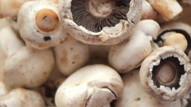 Canlı bir pazar ortamında taze mantarlar satışa sunuluyor..