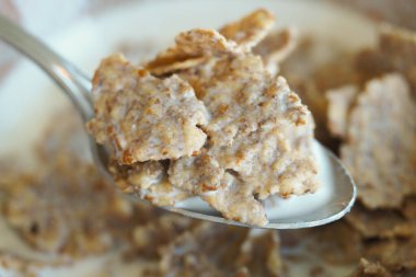 Bir kaşık dolusu kahvaltılık gevrek. Süte batırılmış..