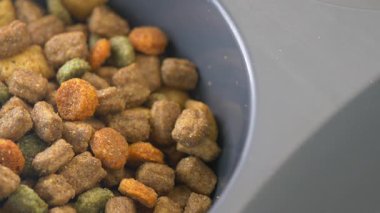 Besleyici mamanın evcil hayvan yemekleri için hazırlanışını izleyin..