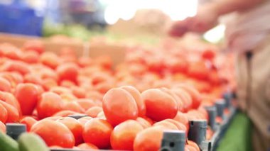 İnsanlar taze domateslerle dolu canlı bir pazara bakıyorlar ve.