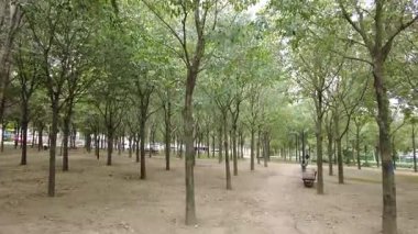 Sayısız ağaç ve yürüyüş yolu olan huzurlu bir park ortamı..