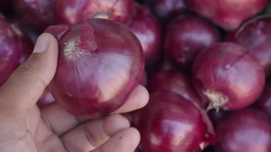 Bir insan sebze pazarında kırmızı soğanı inceliyor..
