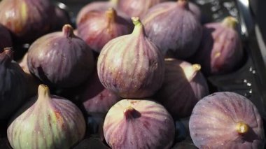 Yaz boyunca canlı bir çiftlik pazarında sergilenen taze incirlerin tadını çıkarın..