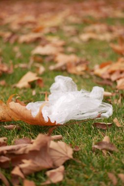Atılmış plastik, parktaki renkli yaprakların arasında yatıyor..