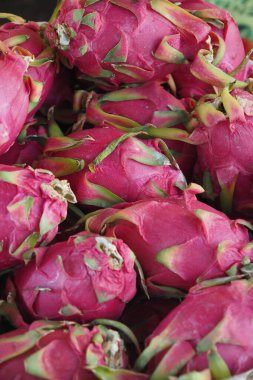 Renkli ejderha meyveleri, hareketli bir pazarda güzelce düzenlenir..