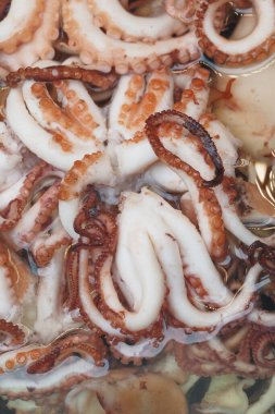 Deniz ürünleri pazarında suya çok sayıda taze ahtapot yerleştirilir..