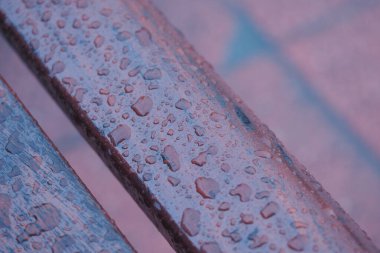 Hafif bir yağmur sonrası su damlacıkları ahşap bir bankta toplanır..