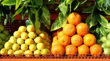 Parlak limonlar ve portakallar pazarda sepetlerde güzelce dizilmişler..