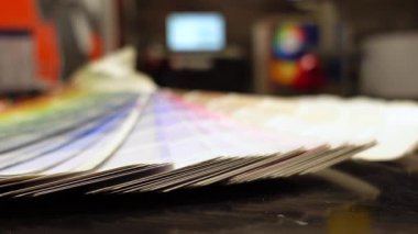 Grafik tasarım görevleri için renk paleti örneklerinin bir koleksiyonunu görüntüle.