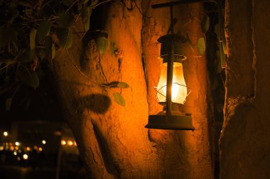 Parlayan bir fener ağaçta asılı, sıcak bir akşamda ışık saçıyor..