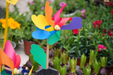 Canlı bir fırıldak, yemyeşil çiçeklerin arasında şen şakrak döner..