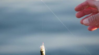 Huzurlu bir günde gölün kenarında küçük bir balık yakalar..