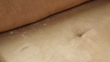 Pis kahverengi kanepe. Yakın çekim. ,