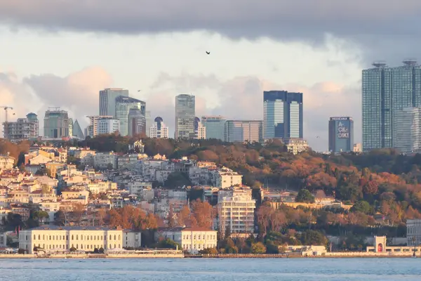 Modern binalar canlı yeşilliklerle dolu bir deniz manzarası üzerinde yükseliyor..