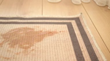 Bugün evdeki halılardaki lekeleri tedavi etmek için kolay yöntemler öğrenin..