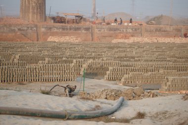 Tuğlalar gün ışığında bir üretim sahasında düzenli olarak düzenlenir..