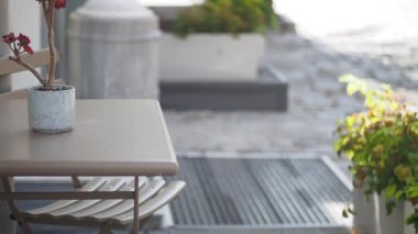 Bitkilerle dolu bir açık hava kafenin huzurlu havasının tadını çıkarın..