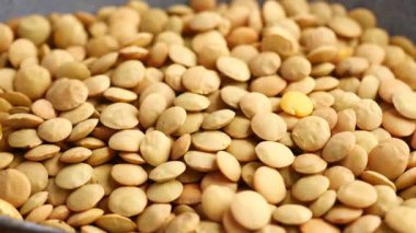 Basit adımlarla kızartılmış balkabağı tohumlarının tadını çıkarın..