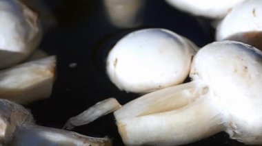 Ağır çekimde mantarlar bir kase suya düştü. ,