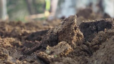 Doğal bir açık alandaki toprağın dokusunu ve bileşimini inceliyorum..