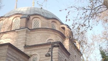 Ağaçlarla çevrili tarihi bir yapının karmaşık detaylarını keşfet..